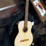 95 6174 GITARR
